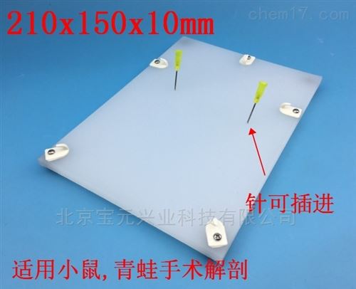 大小鼠硅胶解剖台