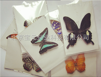 By昆虫饲养器械、养虫缸