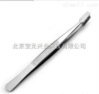 By-zcn昆虫展翅镊、阔头镊