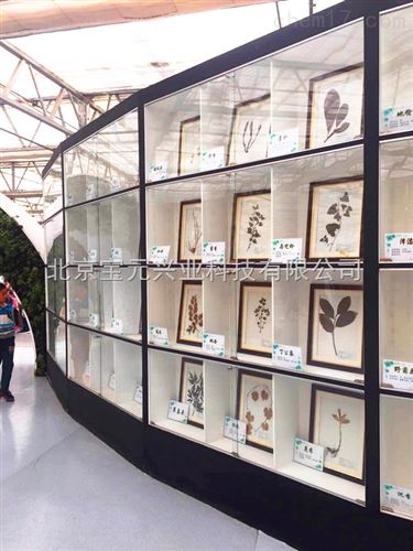 昆虫白胶、标本修复胶