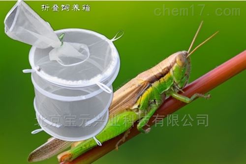 实验室养虫蚊蝇药效试验养虫笼