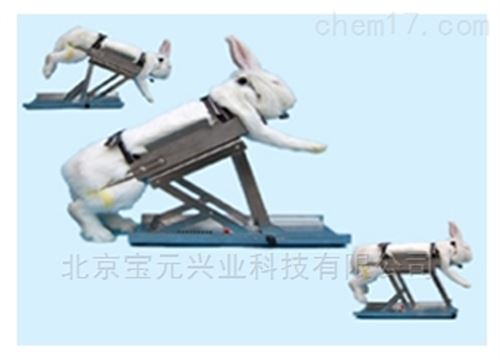 多功能兔固定架图片